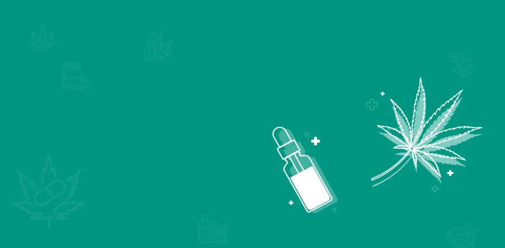 Le zoom sur les secrets du CBD 2