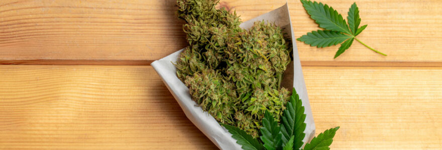 Trim de CBD